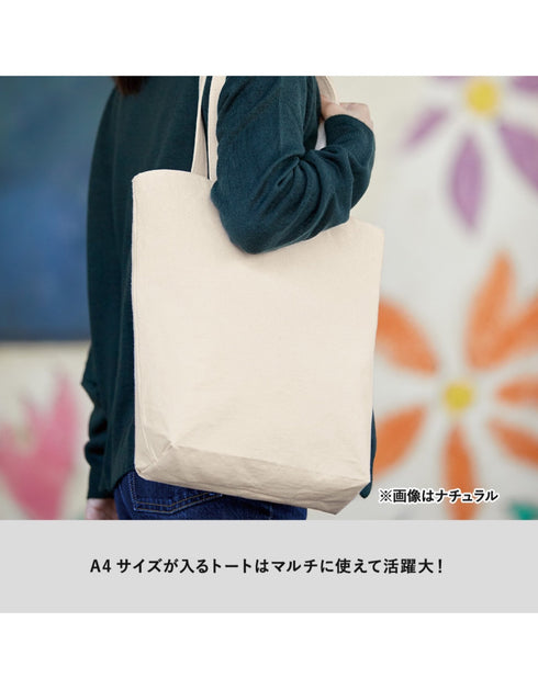 TR-0751 キャンバスデイリートート(M)