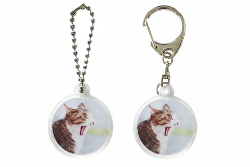 Cat Keychain Set Product Image