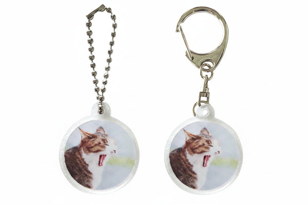 Cat Keychain Set Product Image