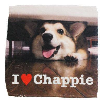 お気に入りの写真を持ち歩こう！