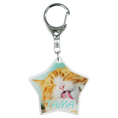 ナスカン付きキーホルダー