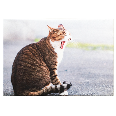 お気に入りの写真をお部屋のインテリアに♪