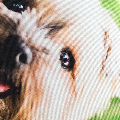 写真も綺麗にプリント！