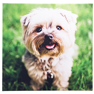 デザインしやすい正方形