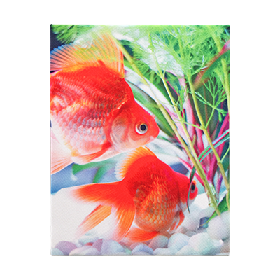 手軽な六つ切りサイズ