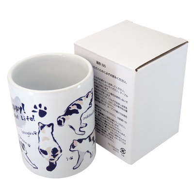 1つ1つ箱に入れてお届け(背面に取り扱い説明付き)