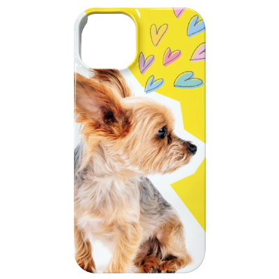 光沢のあるグロス加工のケース