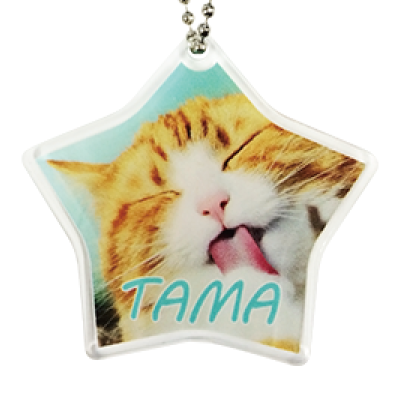 鮮やかな色彩表現