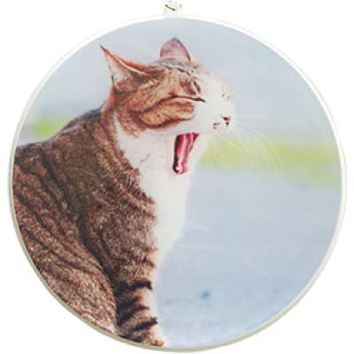 プリントイメージ