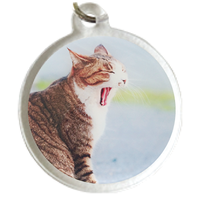 プリントイメージ