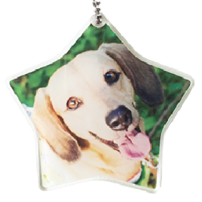 プリントイメージ