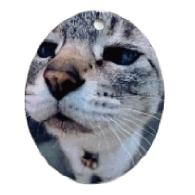 プリントイメージ