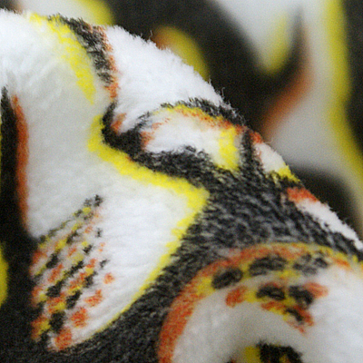 タオルを曲げると根本の白が少し見えます