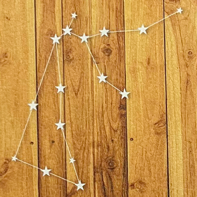 鮮やかなフルカラー